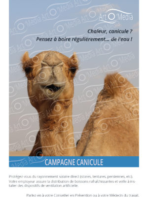 Canicule